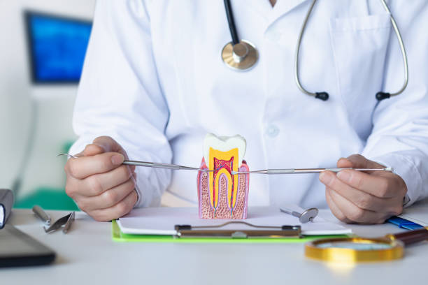 Best Emergency Treatment for Dental Infections or Abscesses in Amityville, NY